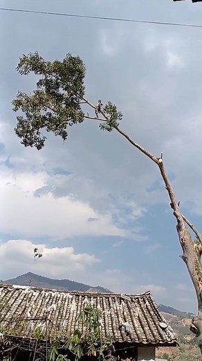 1.5M views · 7.3K reactions | CRAZY Part 4 | DailyNews Ug | Facebook