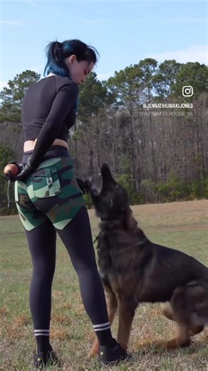 Crazy Franz🔥 #protectiondog #atlanta #dogtrainer #germanshepherd #obediencetraining