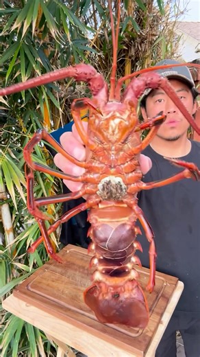 Grilling CA Spiny Lobster Catch and Cook