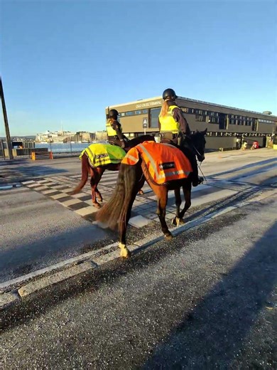 POV Look Around — Mounted Police Patrol, Oslo