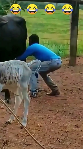 Epic fail reactions 😂 #funny #hilariousfails #funnyvideos