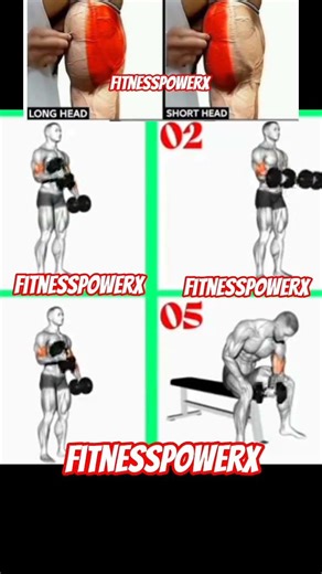 Simple Sample Bicep Workout 💥 | Try This Today