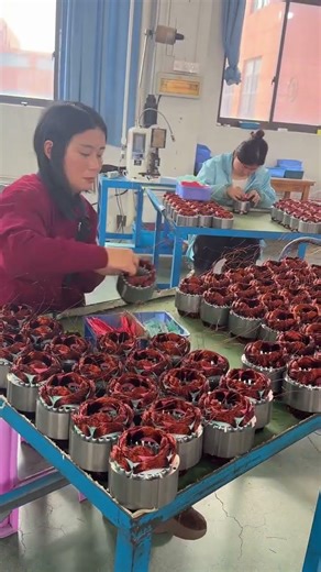 The internal structure of the motor coil manufacturing process