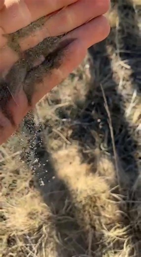 A quick exposé on why 30 bushel wheat is pretty good! | The Crackpot Farmer