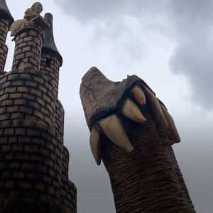 610K views · 2.3K reactions | The magical tree lives on! 栗 | BBC Dorset | Facebook