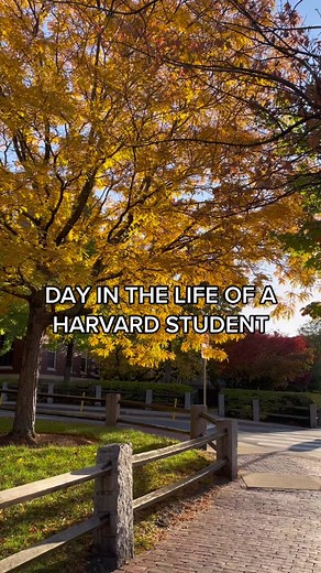 Day in the Life: Harvard University Vlog