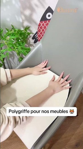 Polygriffe pour chat - Oaura