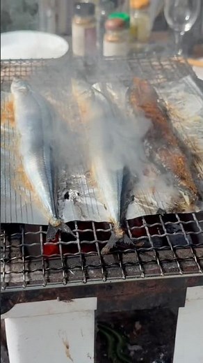 A Secret Trick for Grilling Perfect Pacific Saury Over Charcoal