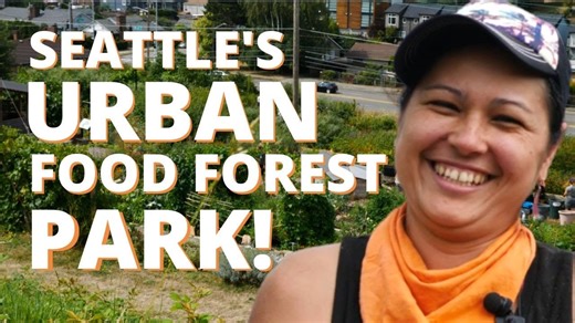 Seattle's urban food forest park!