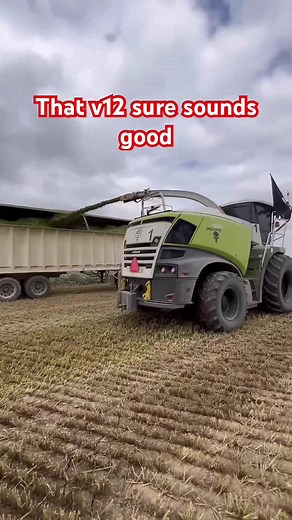 38K views · 368 reactions | The sound of 24 knives chopping wheat  #silage #farming #forageharvester | Nikabelly | Facebook