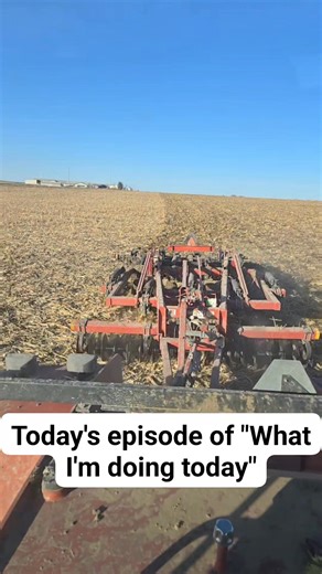 Jon Halverson on Reels