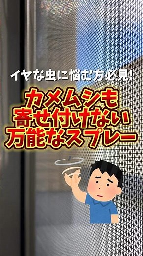 【虫嫌いな方必見】イヤな虫を寄せ付けない万能なスプレー！#ライオンケミカル #和歌山 #有田市 #虫 #商品紹介