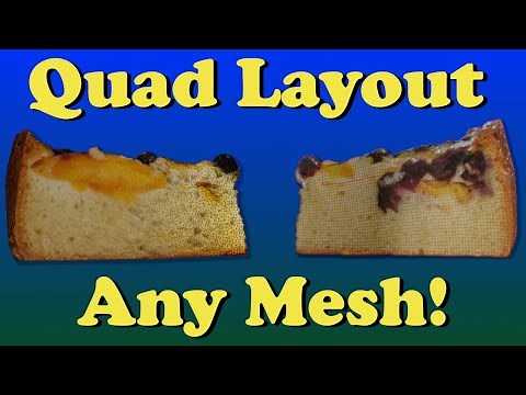 Make Any Mesh Into A Quad Layout - Using Instant Meshes
