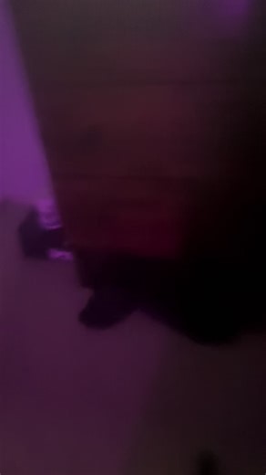 Just tryna open my apex pack 😭 #fyp #apex #apexlegends #onlin #crazy | Apex Legends