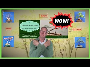 This FREE Database Changed How I Do Bonsai Forever :)