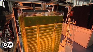 The power of algae: Innovative fuel