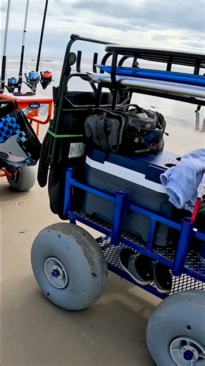 841K views · 7.1K reactions | FISHERMEN TAKE OVER THE BEACH!!! #Beach #takeover #fypシ #fishing #surf fishing # #fun #fish #beautifuldestinations #fblifestyle #friends #memories #fishingtrip #BeachVibes | Reel Coastal Fishing | Facebook