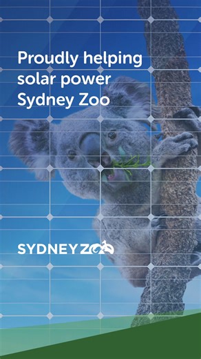 EnergyAustralia are proud to help power Sydney Zoo with over 600 solar panels. Curious as this creature? Find out more here. | EnergyAustralia