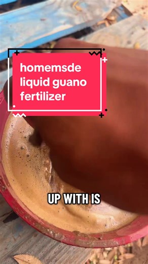 Unlocking the Power of Seabird Guano for Fertilizer