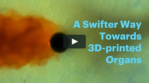 A Swifter Way Towards 3D-printed Organs