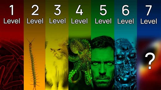 During deep anesthesia you literally stop existing