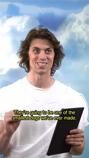 57K views · 2.5K reactions | God Makes Yorkshire Terriers | Jonny | Facebook