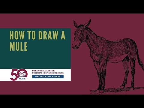 Drawing a Mule