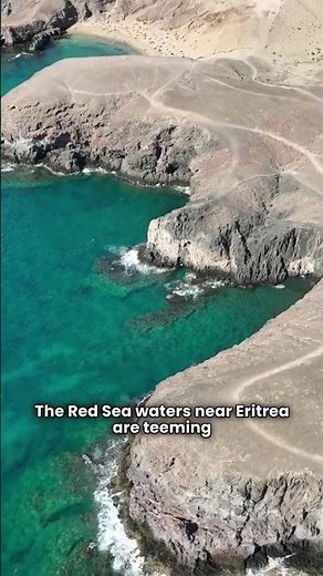 Let’s explore 10 fascinating facts about Eritrea! 🇪🇷