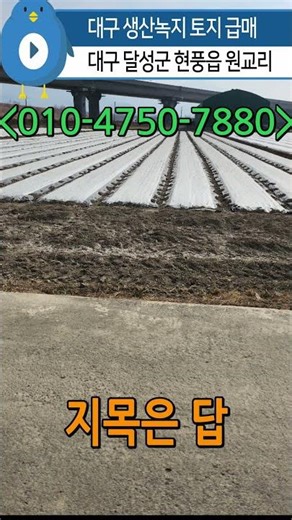 n1007, 대구 달성군 현풍읍 원교리 생산녹지지역 토지 2316제곱미터(700.6평) 급매, 평당25만, 공시지가 이하 급매, 문의:010-4750-7880 #현풍땅 #현풍토지