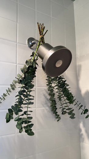 Upgrade Your Shower with Jolie Filtered Shower Head