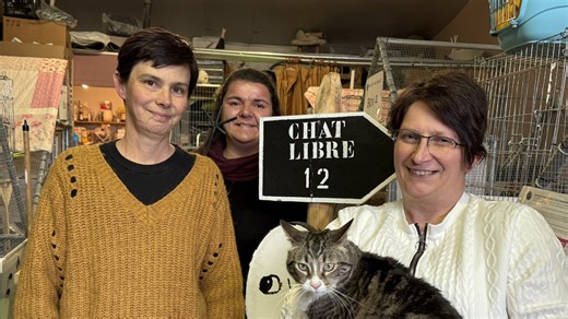 VIDÉO. "Sans les donateurs, on ne tient pas" : l’association Chat libre 12 qui offre une nouvelle vie aux chats errants, fête ses dix ans ce 19 avril