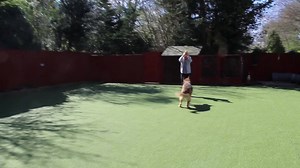 Alf the German Shepherd came to Royvon on our Behaviour Modification Programme, Alf was very reactive to other Dogs and lacked obedience around other Dogs. Sadly for us it was time to say goodbye to Alf as his 3 weeks at Royvon had come to an end! See below some snippets from his departure lesson yesterday with one of our expert trainers, Rhona! | Royvon Dog Training & Hotels