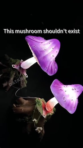 People say this looks fake. Others say it feels too real. It glows. It breathes. It doesn’t behave like a lamp. Is this decoration… or something that shouldn’t be indoors? 👇 Would you keep it, or remove it? #M#MushroomLight#GlowingMushroom#FantasyLamp#TikTokFindsisualShock