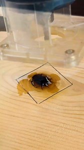 Easy DIY Hacks to Make Life More Simple | Genius Craft