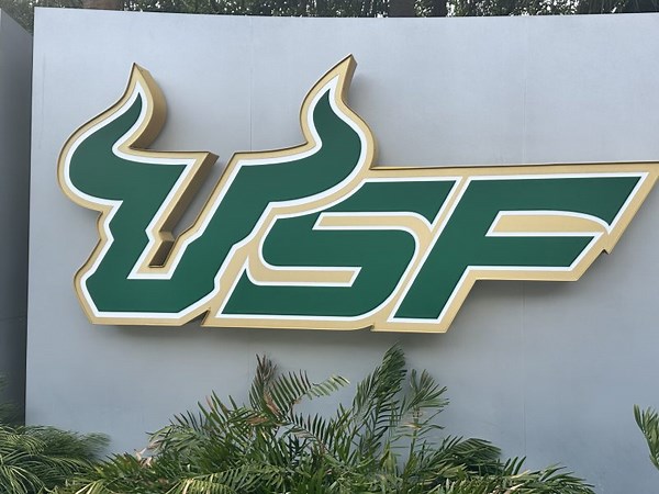 USF launches free online AI course for beginners