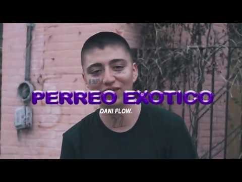 Perreo Exótico - Dani Flow (Official Video)
