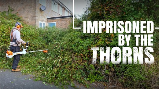 Overgrown gardens: The challenge of recovery