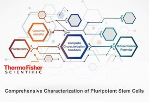 Comprehensive characterization of pluripotent stem cells - Scientific Videos | Thermo Fisher Scientific US