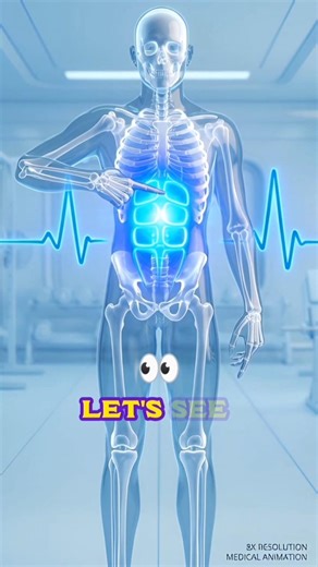 How To Get Six Pack Abs (Science Explained) 💪 | 3D Medical Animation #shorts