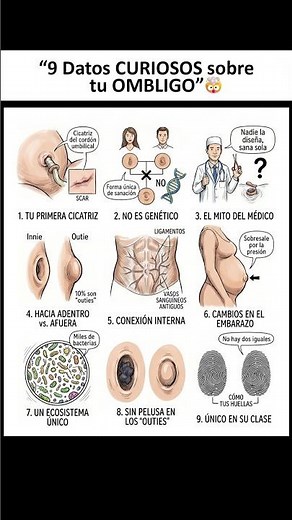 "9 Datos CURIOSOS sobre tu OMBLIGO" 🤯