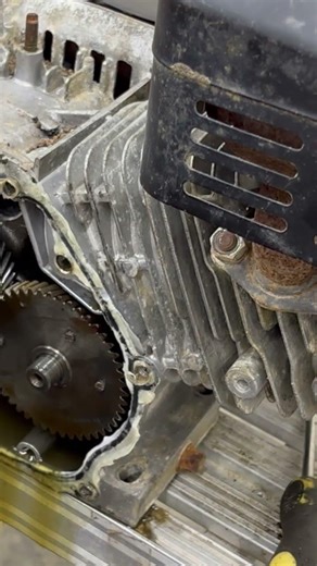 What locked up the predator motor? #predator #smallengine #enginefailure #viral #familyfriendly