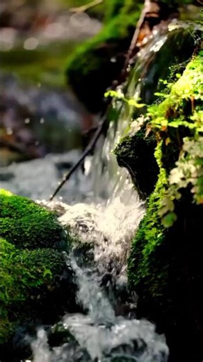 ASMR Rivers Sounds In Nature💦 #nature #relaxing #riversounds #asmr #shorts #subscribe