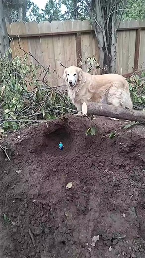 #jackblack #dih #fyp #minecraft #trend