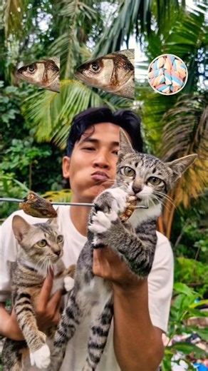 Food ASMR🐟🐟🍡 #shorts #reverse #food #mukbang #cat