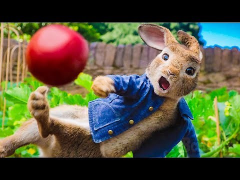 Man VS Rabbits: The Tomato War 🍅 | Peter Rabbit | CLIP 🔥 4K