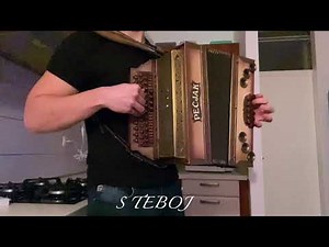 Mix domacih (mix Slovenske narodno zabavne glasbe)