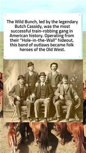Butch Cassidy and the Notorious Wild Bunch 🤠
