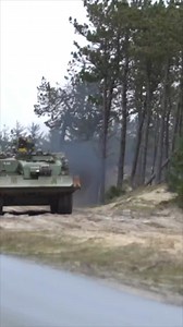Leopard 1 Wisent 🇩🇰 V10 1000 hp #military #army #fyp #video #denmark #leopard #viralpost | MilPics