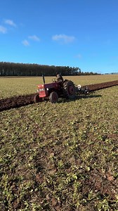 McCormick International B250 at the Dunbar Vintage Ploughing Match 2025 #ploughing #tractor #dunbar | The Farming Enthusiast