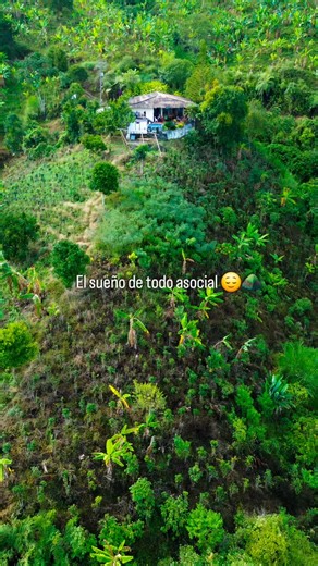 Mi sueño 🫢 #nature #naturephotography #reels #trekking #senderismo #reelsinstagram #montaña #photography #viral #bosque #humor #viralreels #viralvideos #fauna #flora #asocial #naturelovers #naturaleza #paisajes #tendencia | Alex Rutas